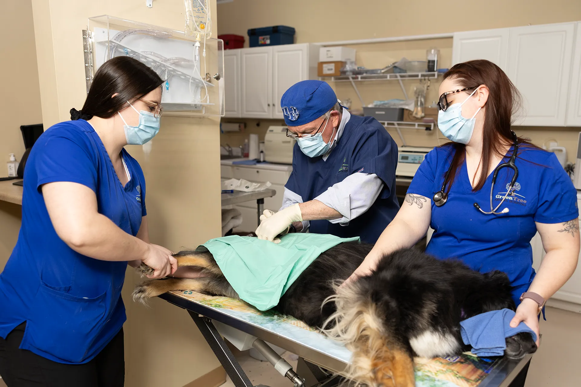 Emergency Vet Services