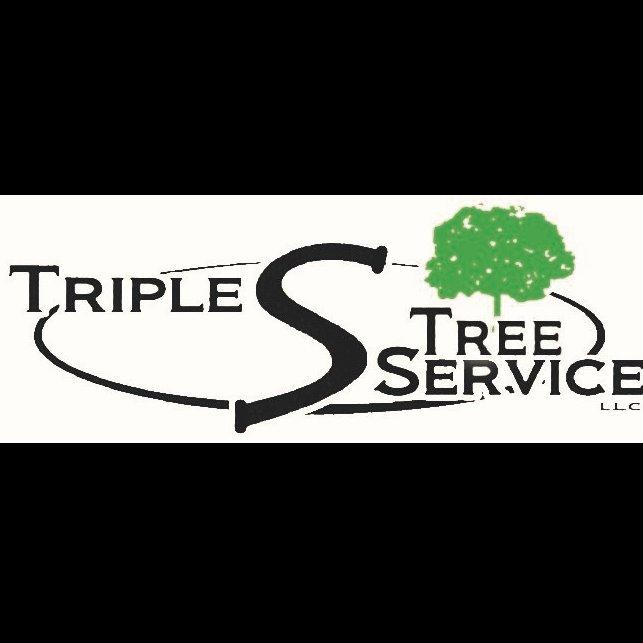 Triple S Service, LLC Logo