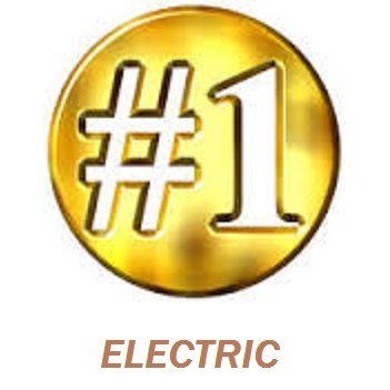 #1 Electric Logo