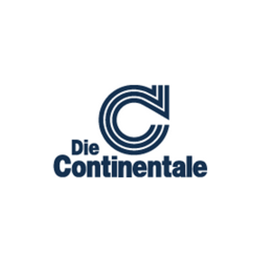 Logo von Continentale Versicherung Bezirksdirektion Wolfgang Türk
