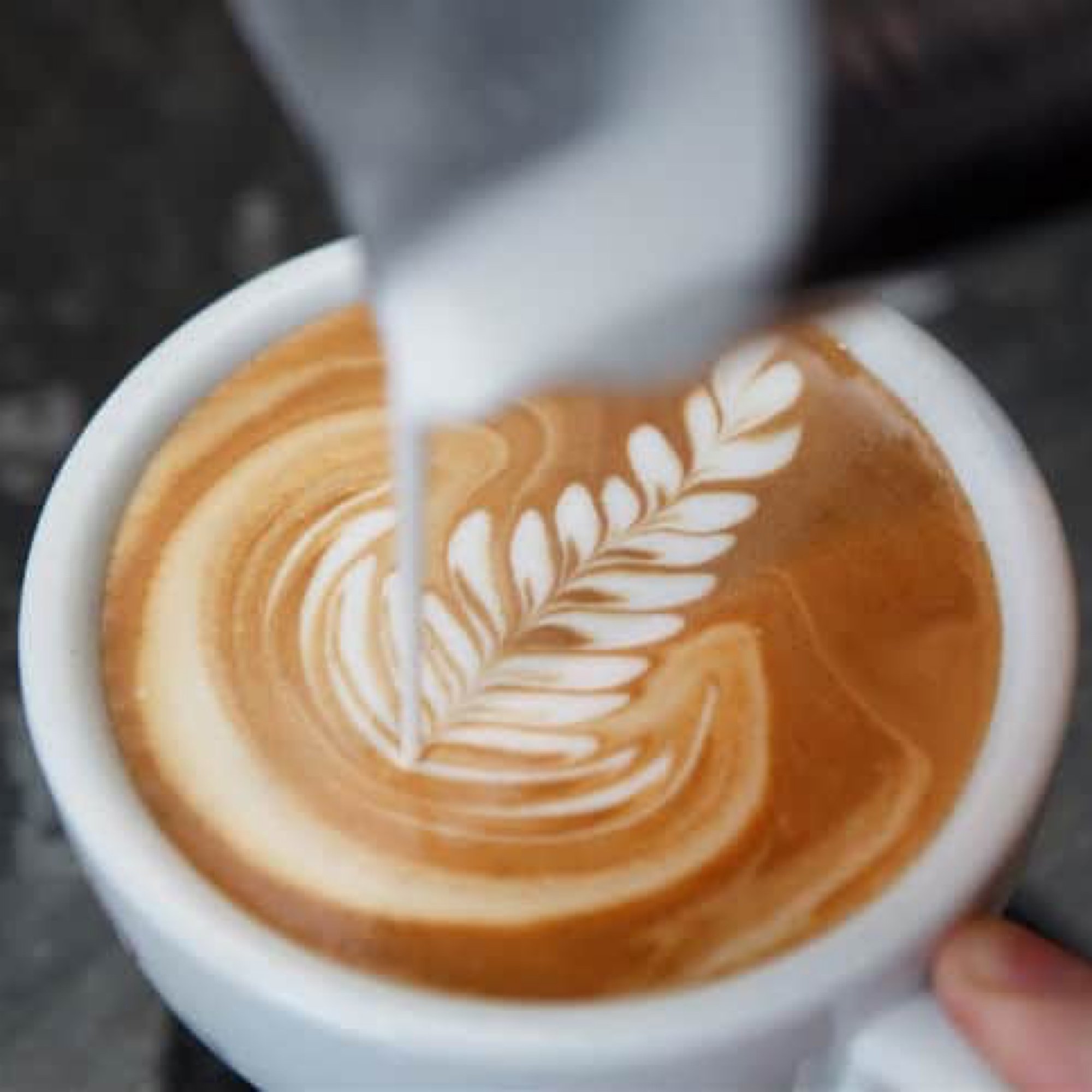 Latte