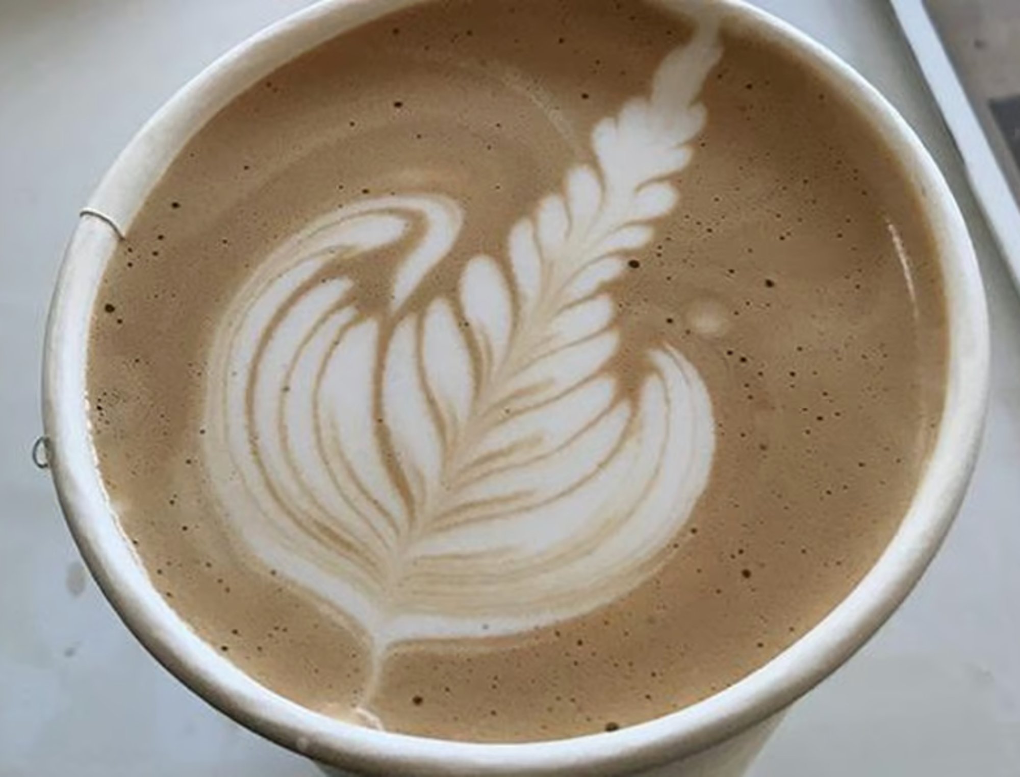 Austin Dream Latte