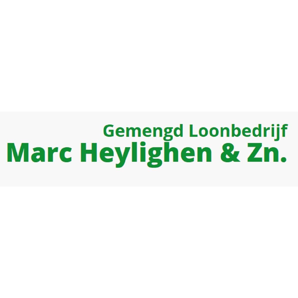 Marc Heylighen & Zn Logo