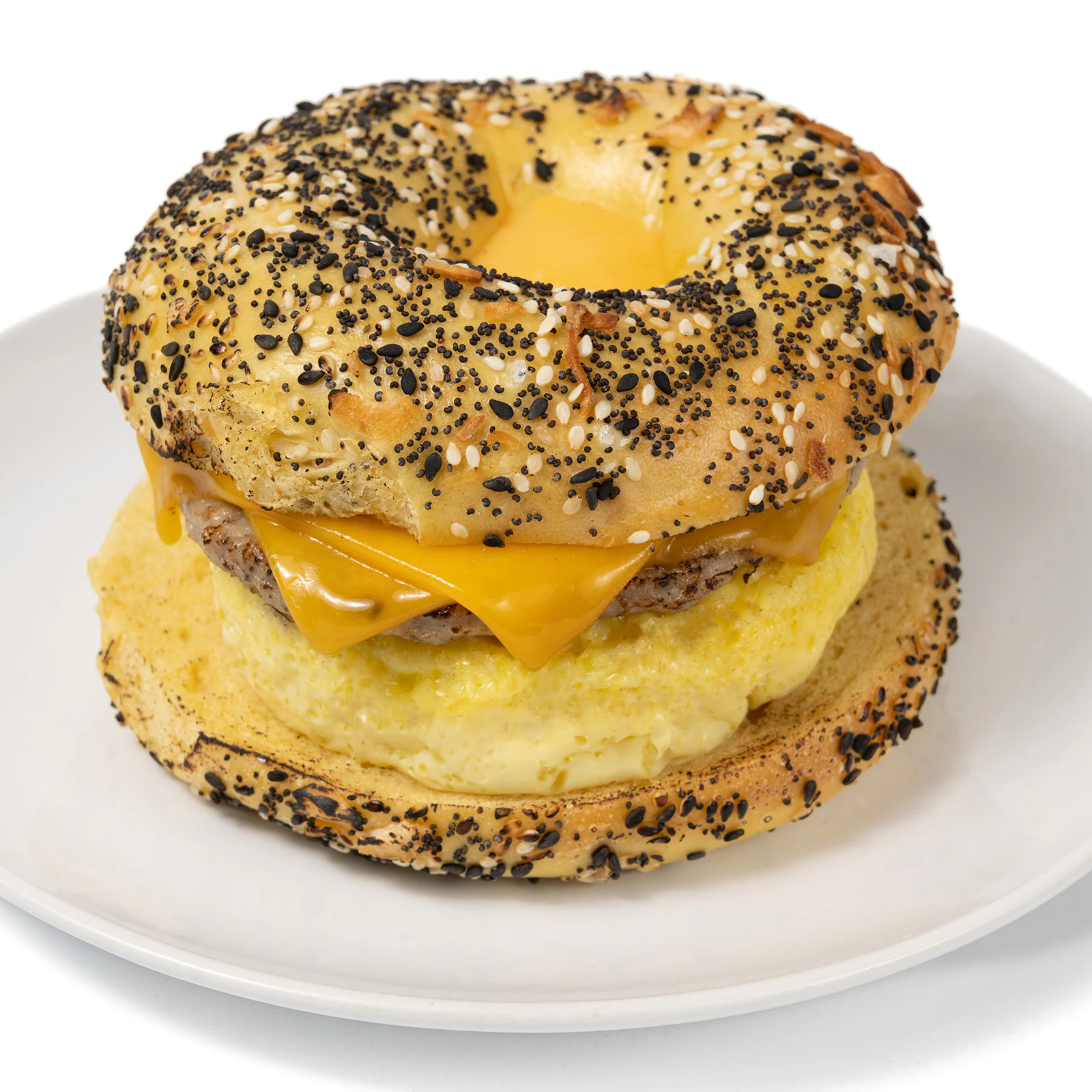 Everything Bagel Sandwich