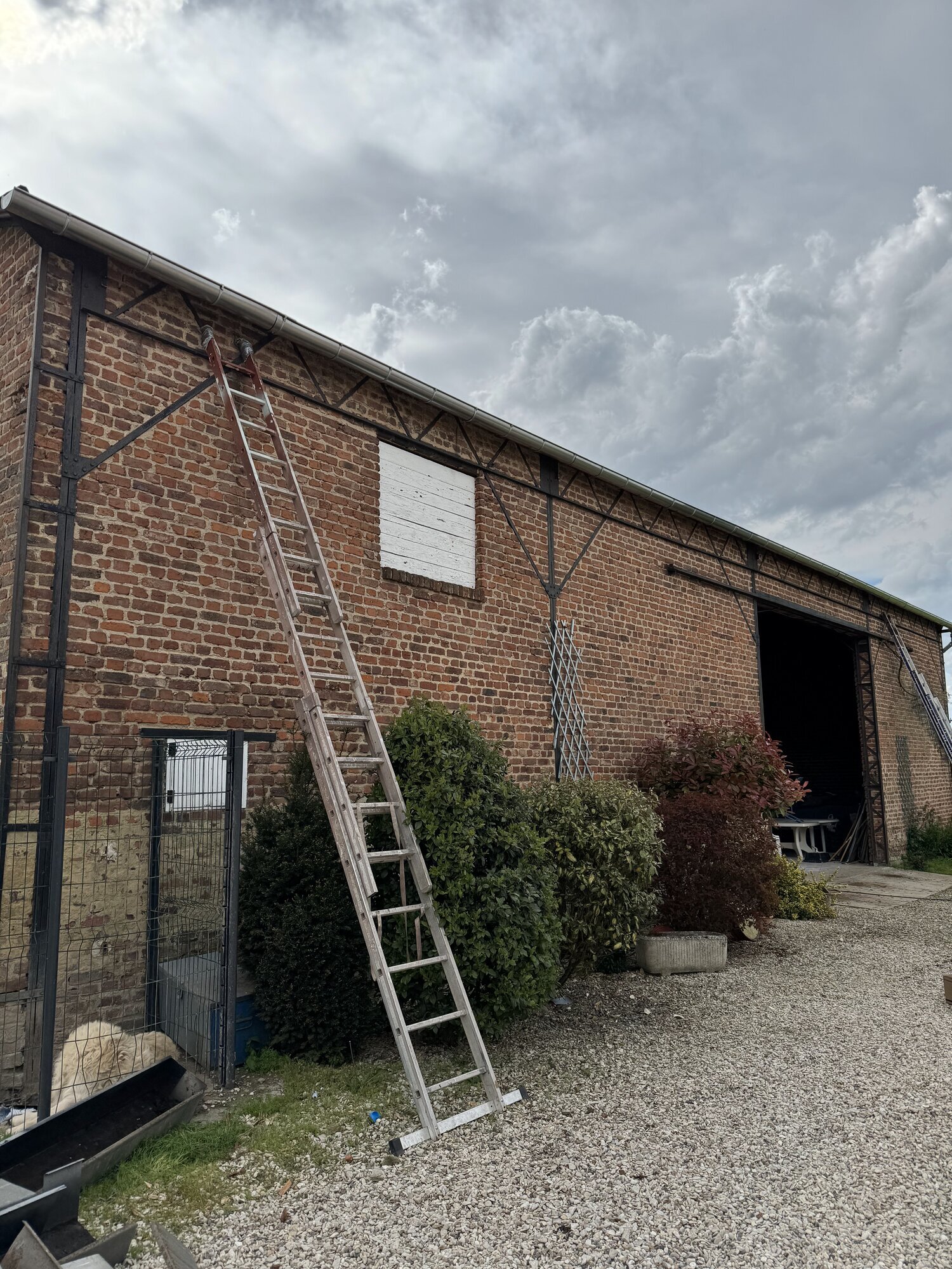 Miniature de la galerie