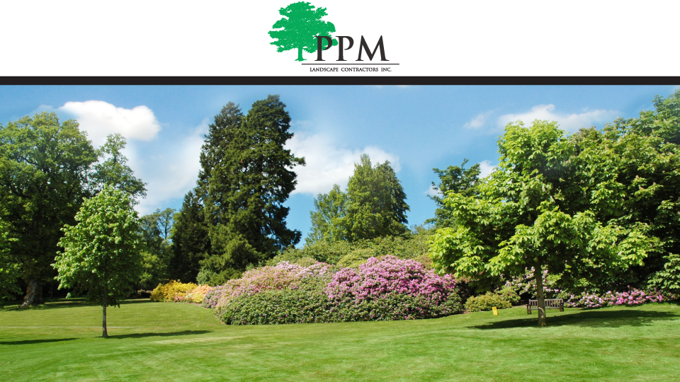 PPM Tree Service & Arbor Care, LLC Photo