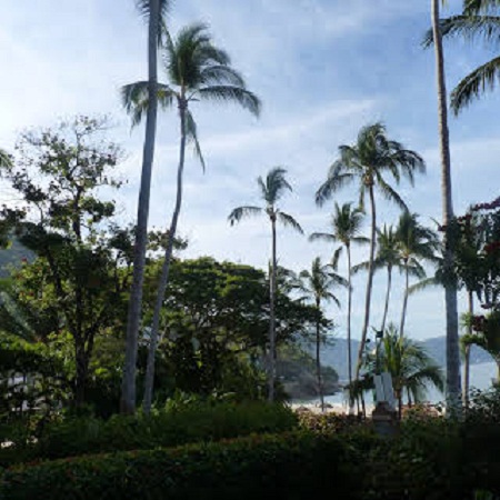 Accurate Handyman &amp; Tree Service LLC Logo