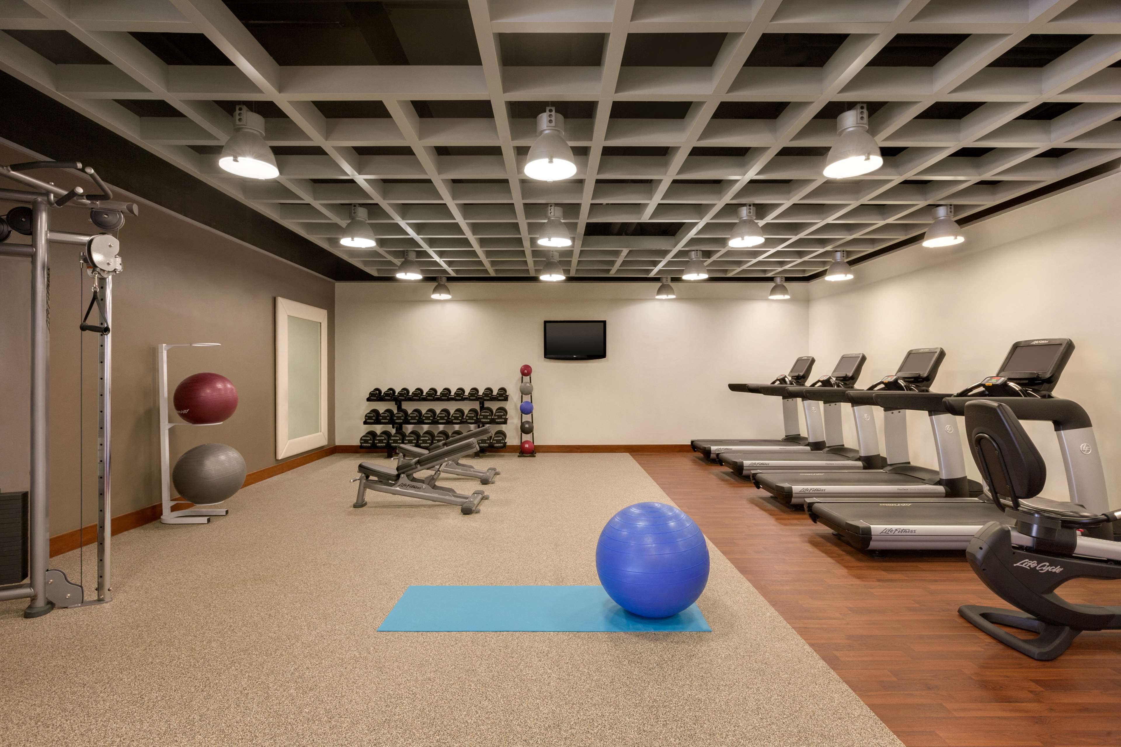 Health club  fitness center  gym