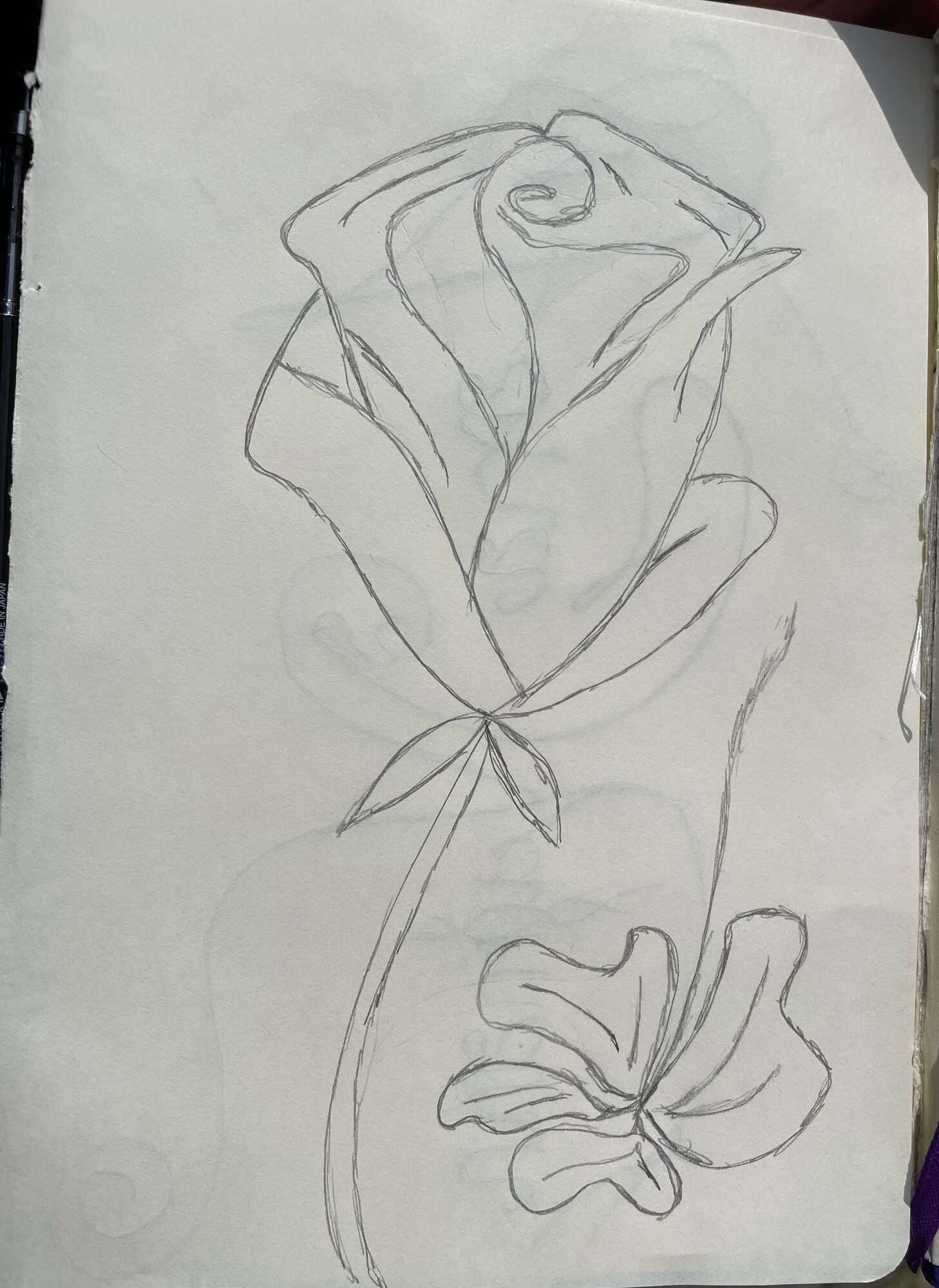  20