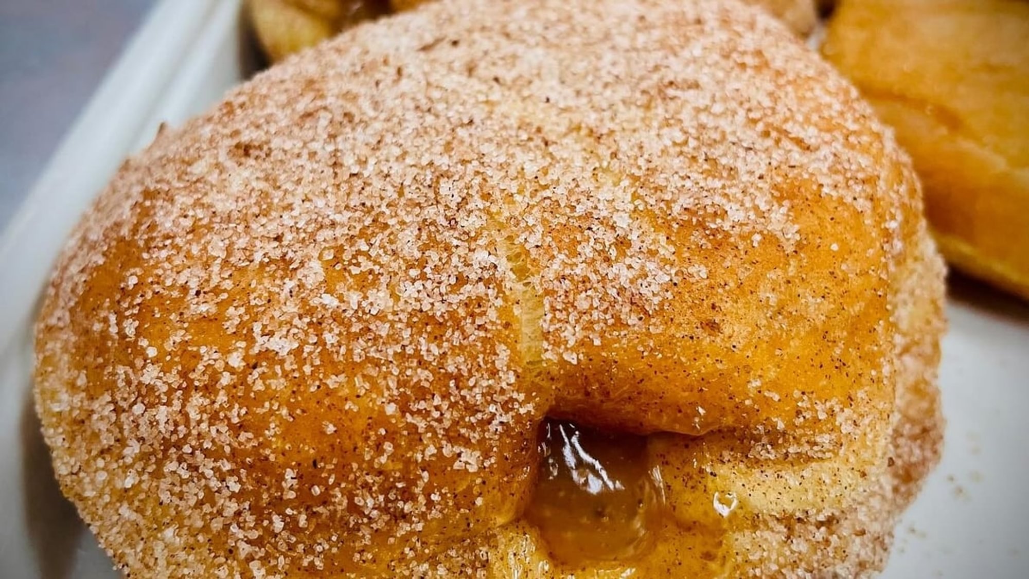 Dozen Donut