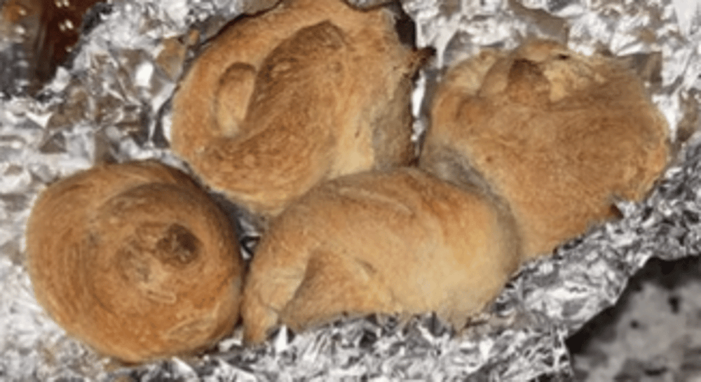 Garlic Knots