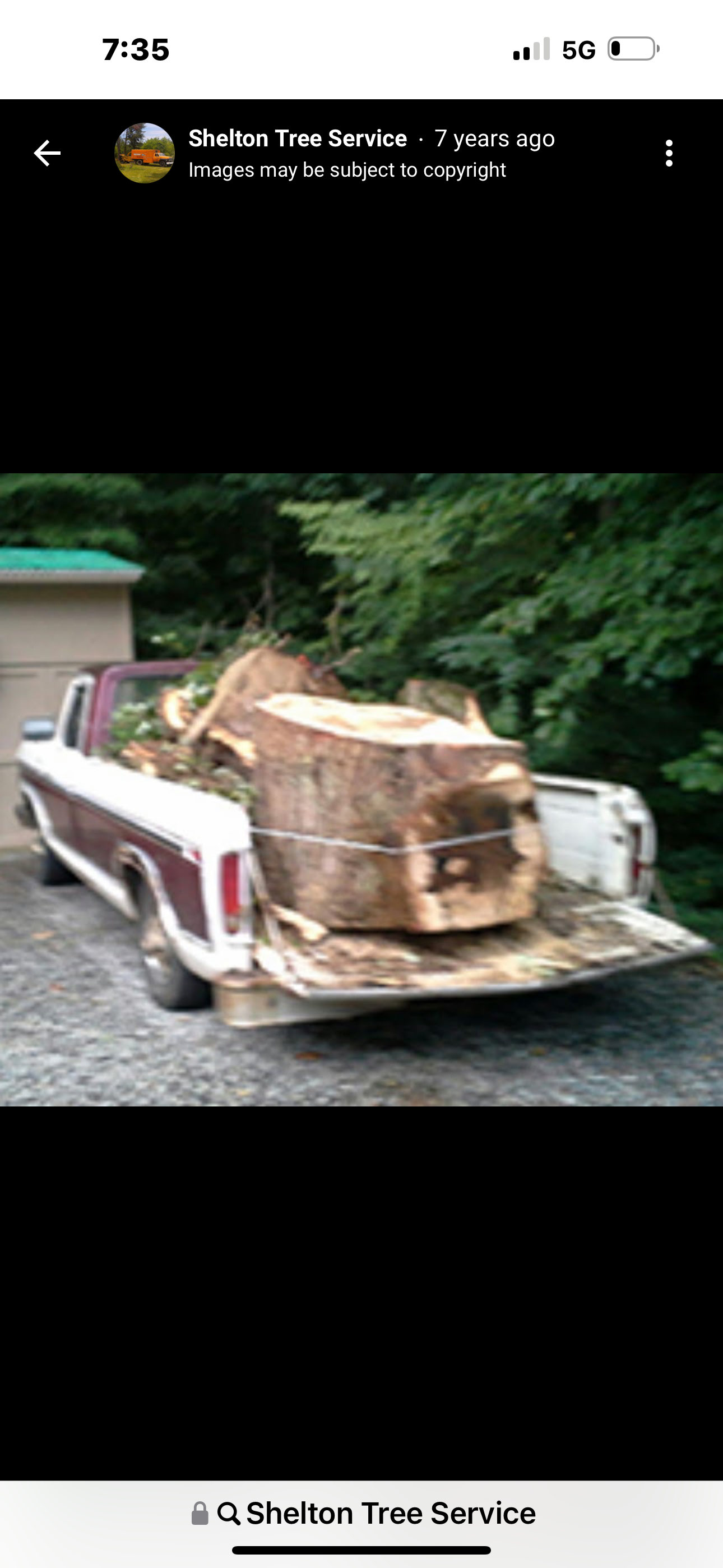 Shelton Tree Service Image
