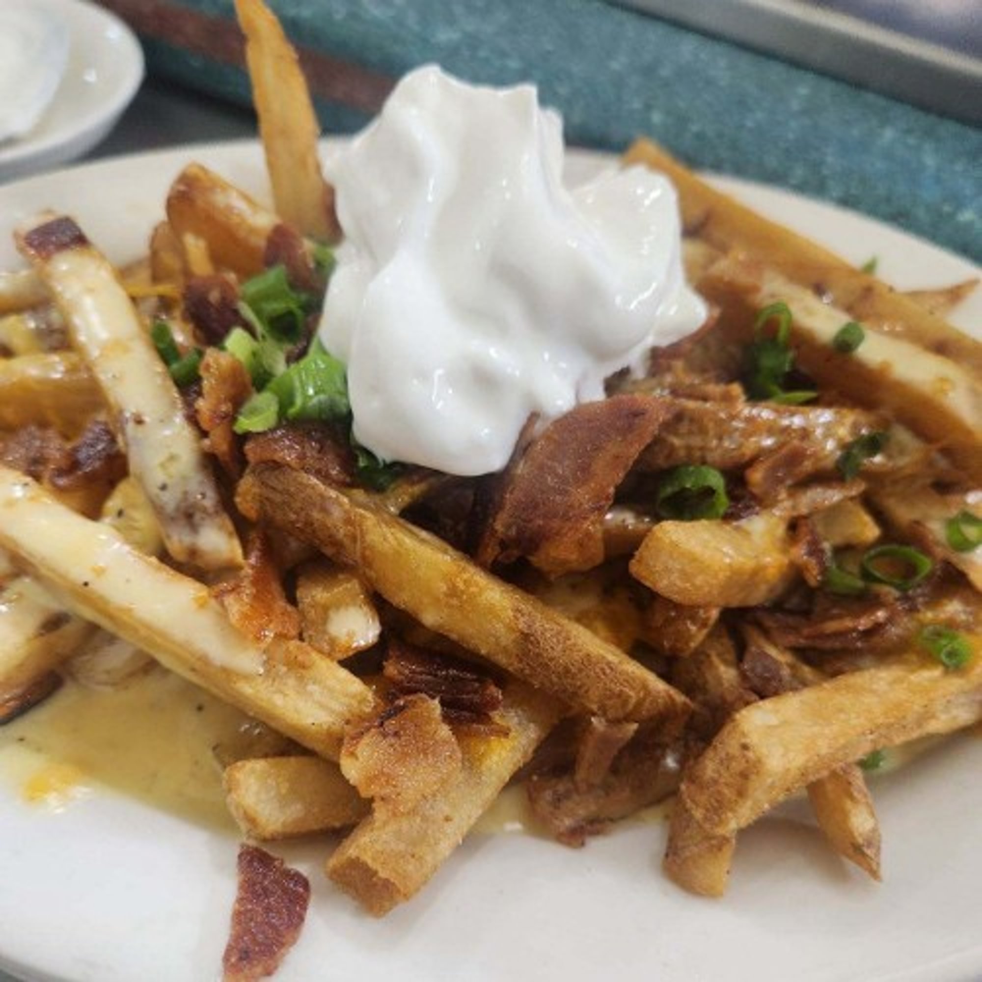 Appetizer Loaded French Fries