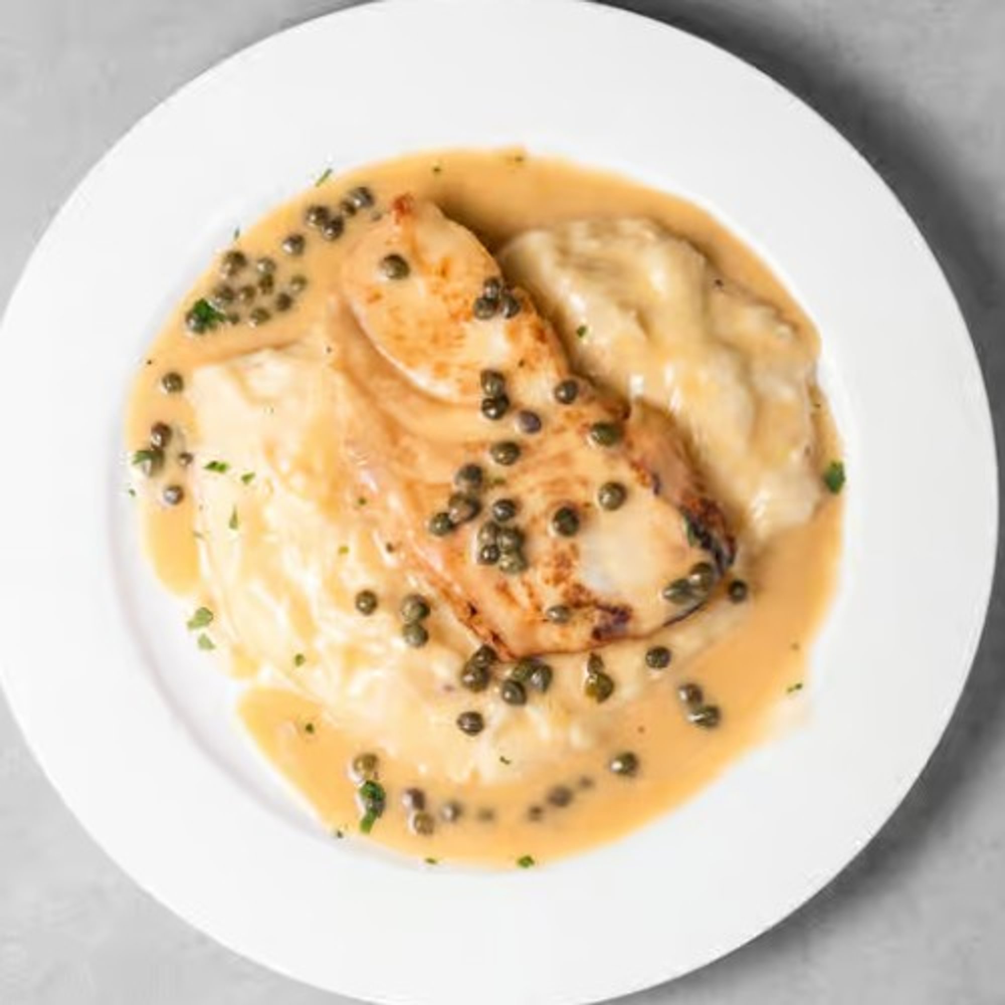 Halibut