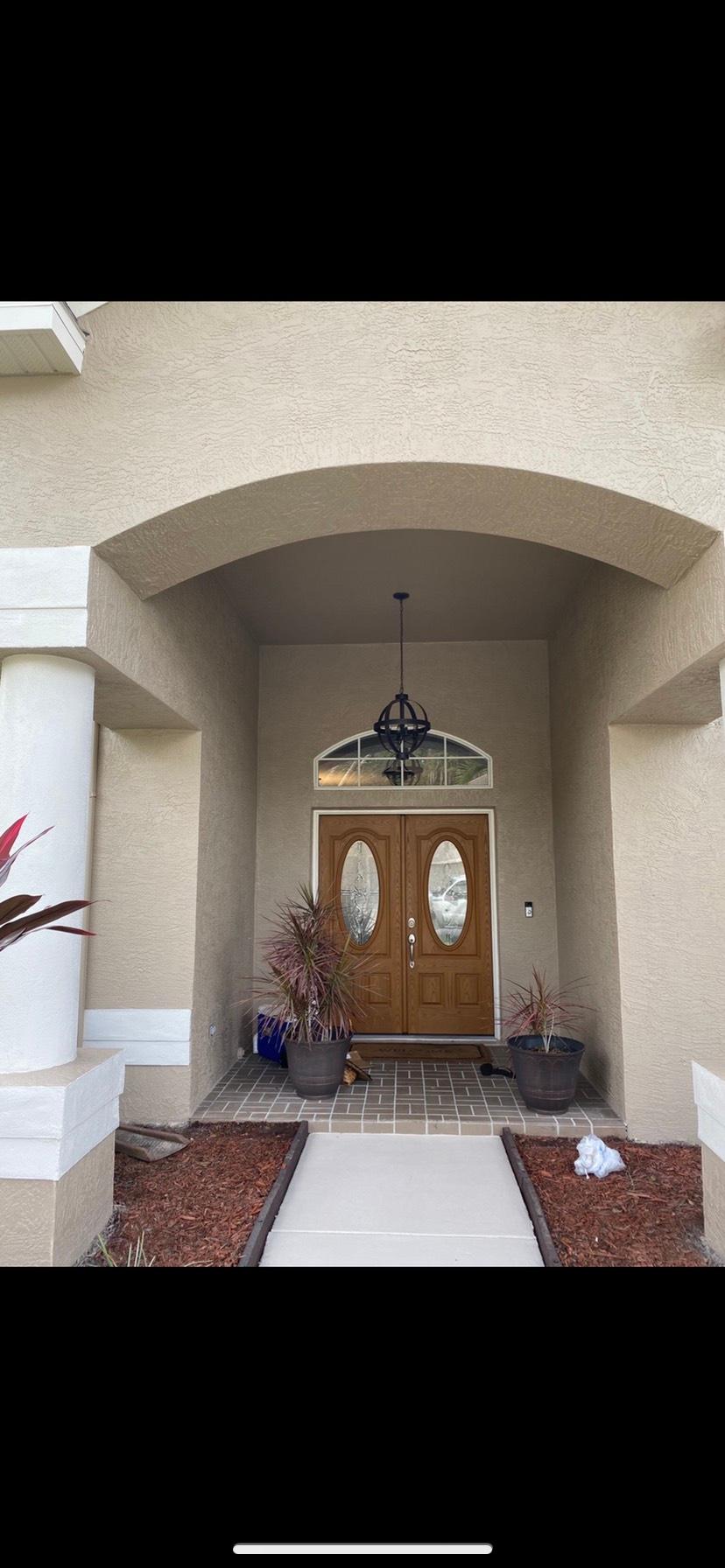 Peach Painting Image