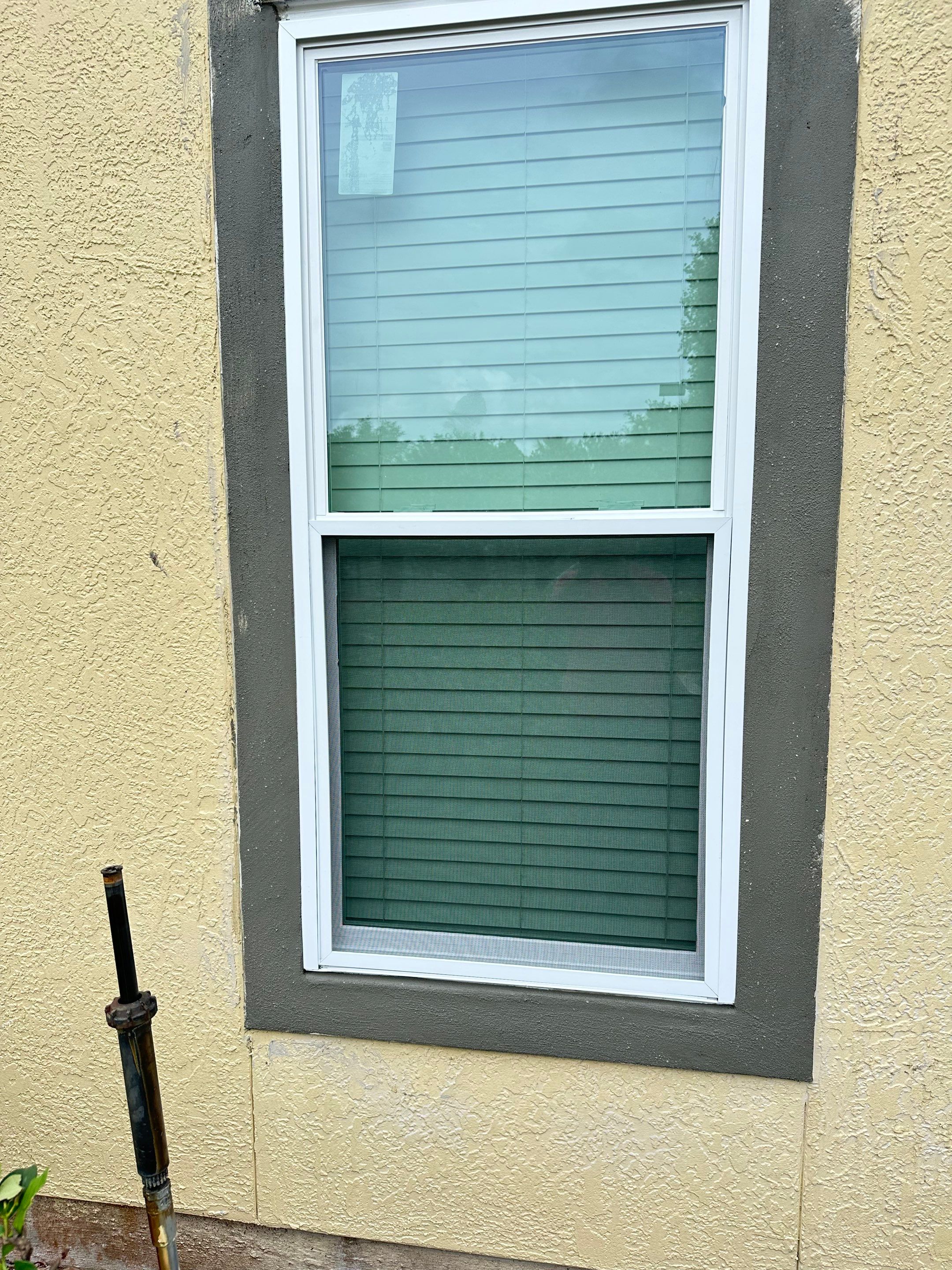 Window Team USA of Orlando Image