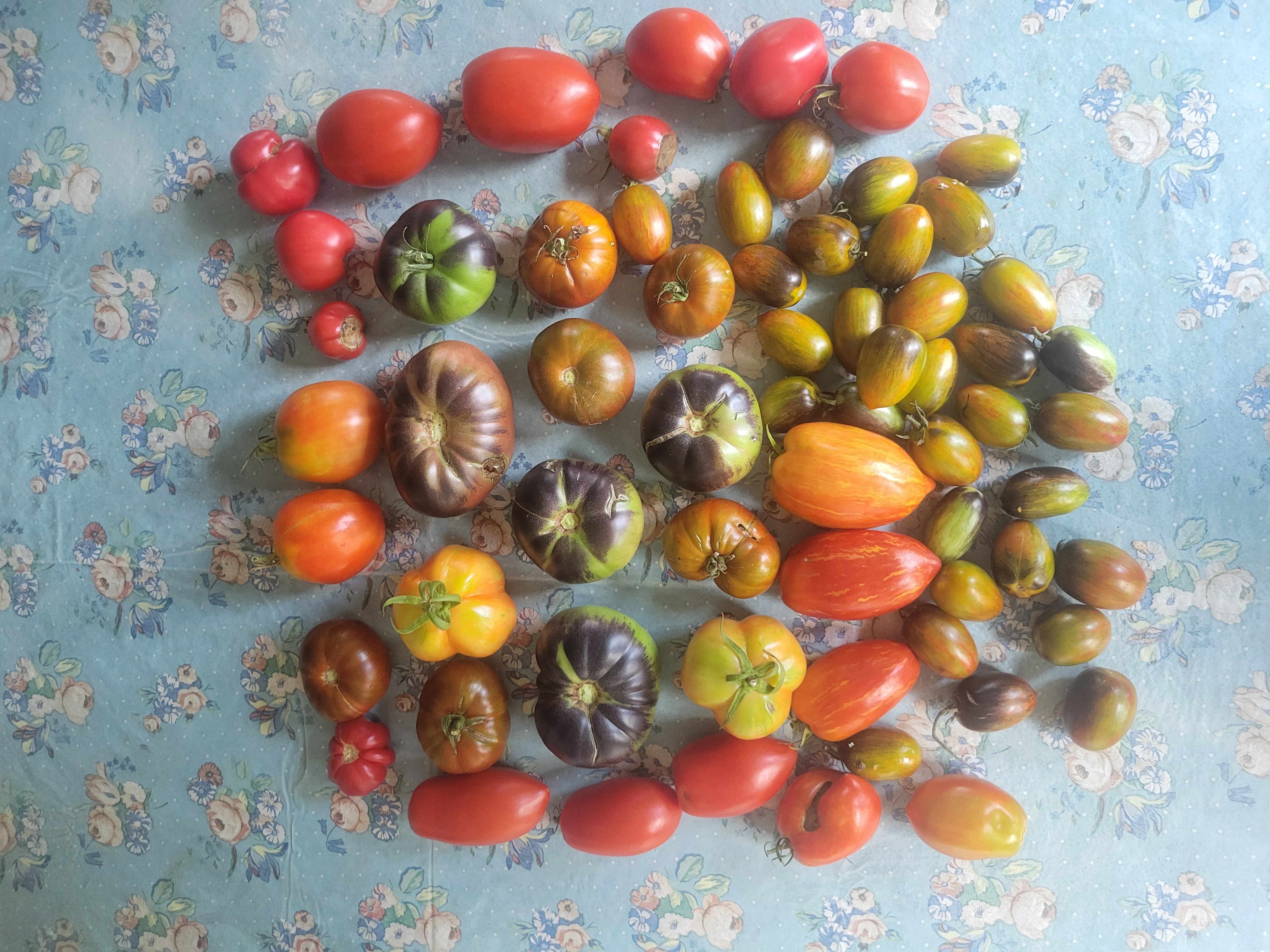 Green Thumb At Your Service Image