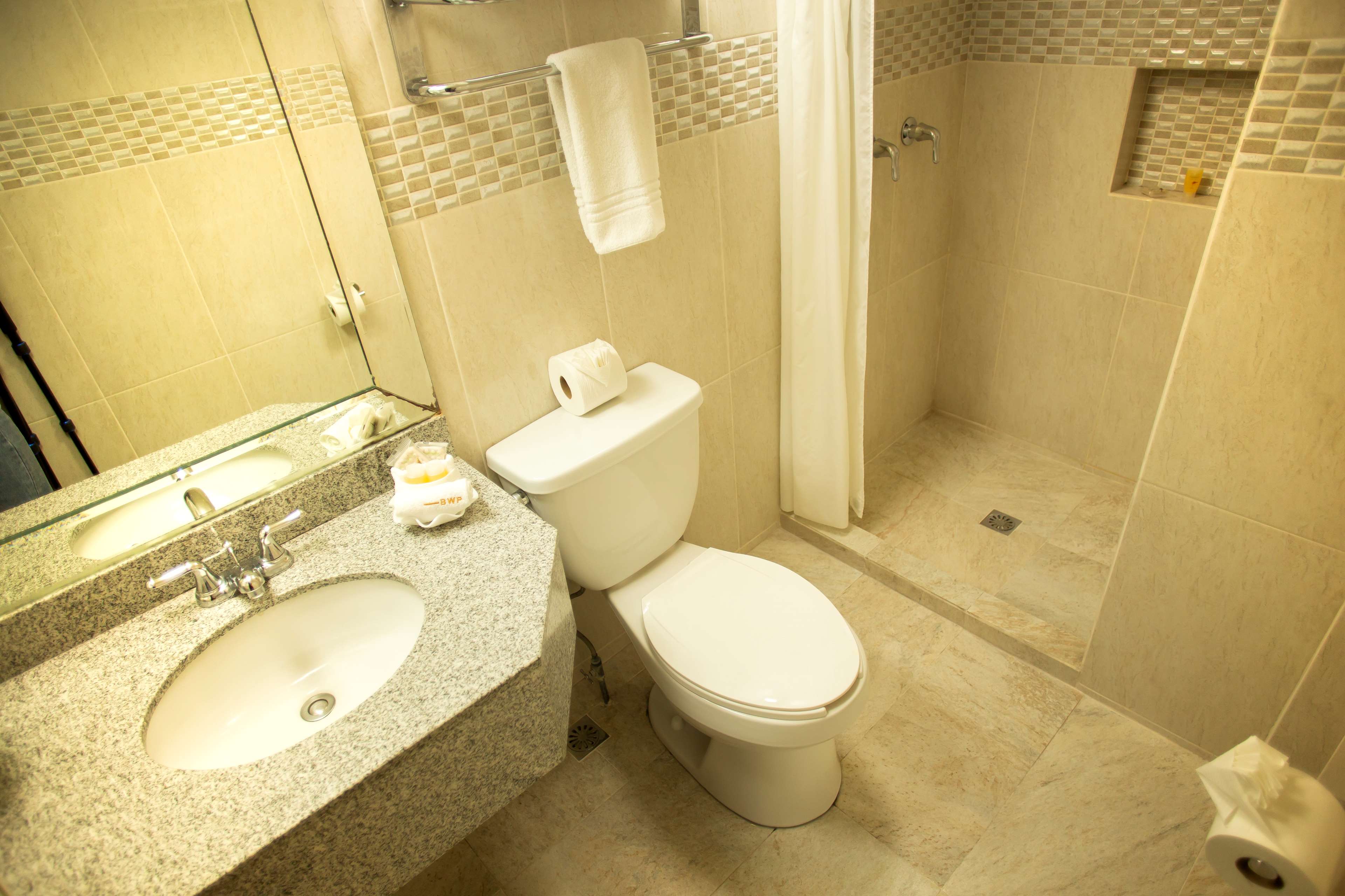 Images Best Western Plaza Monterrey