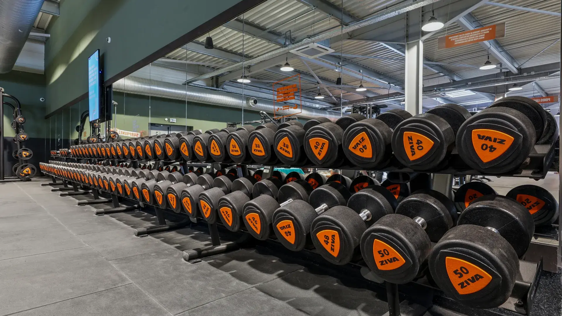 Miniature de la galerie