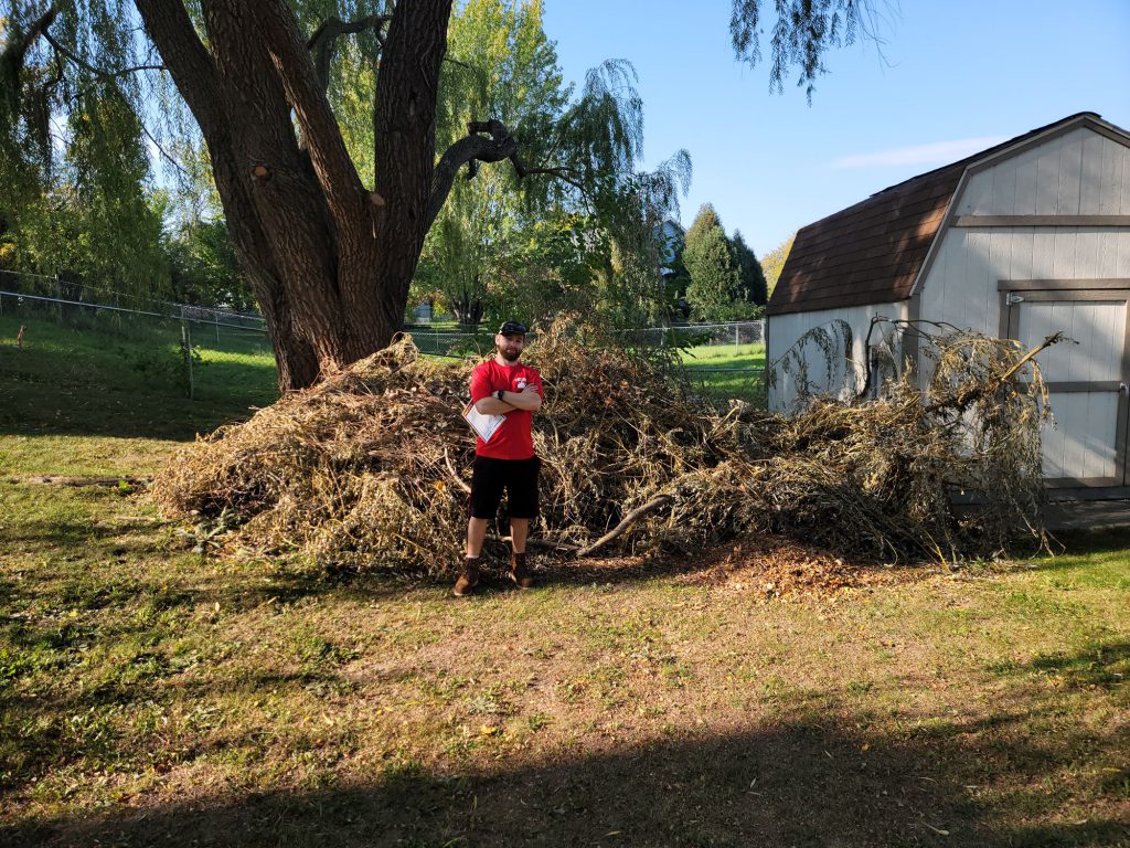 Yard Waste Removal