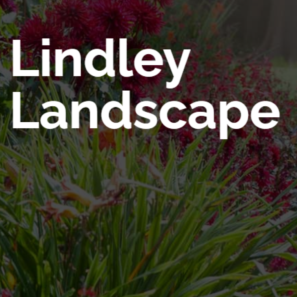 Lindley Landscape