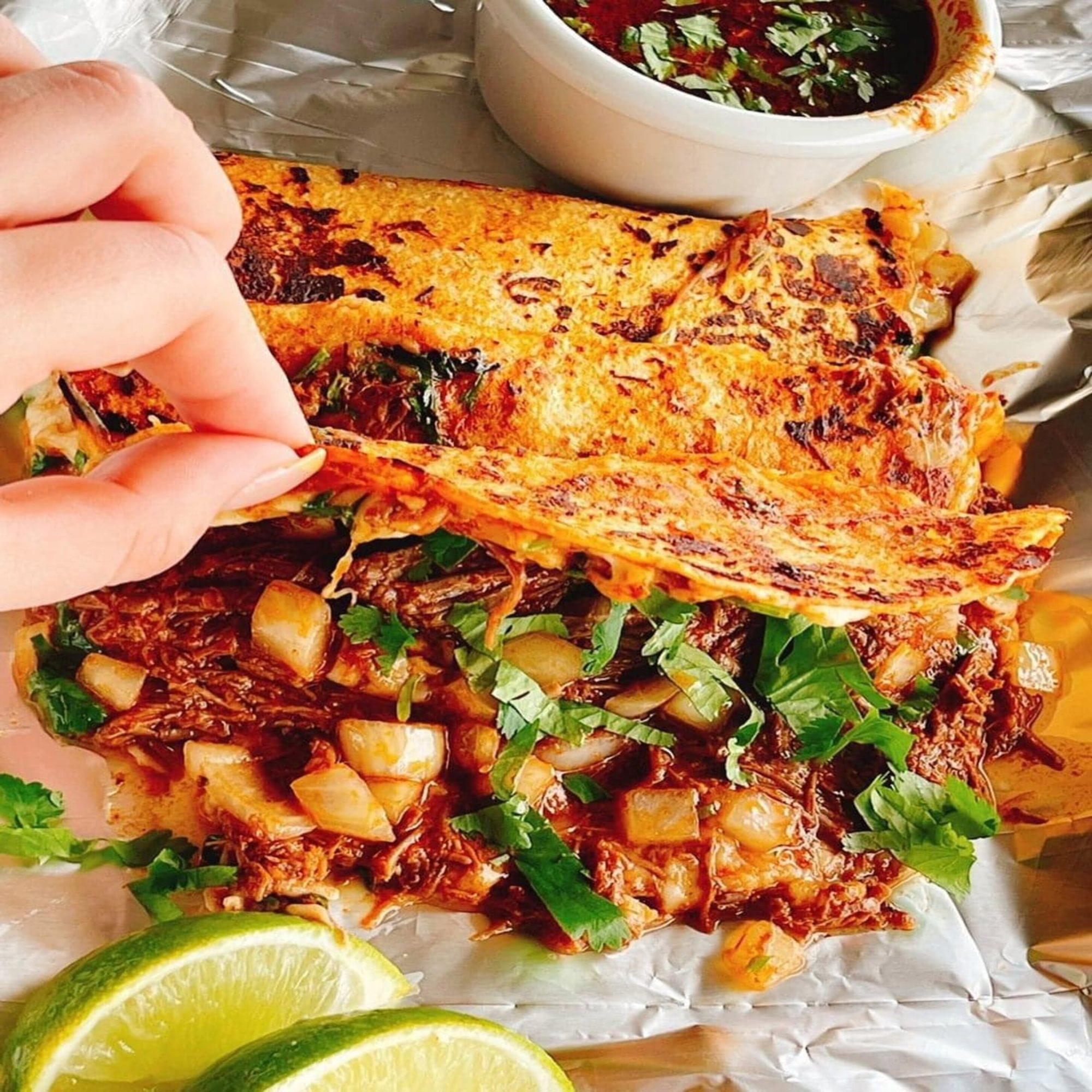 Birria Platter