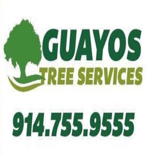 Guayos Landscaping  And Tree Service
