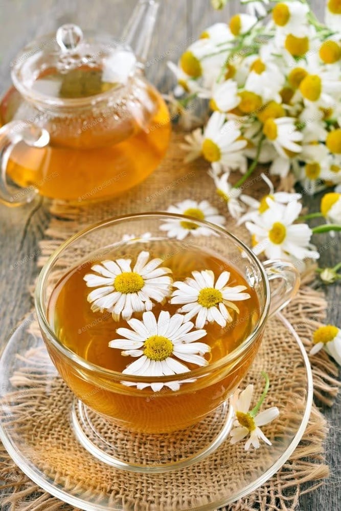 CHAMOMILE
