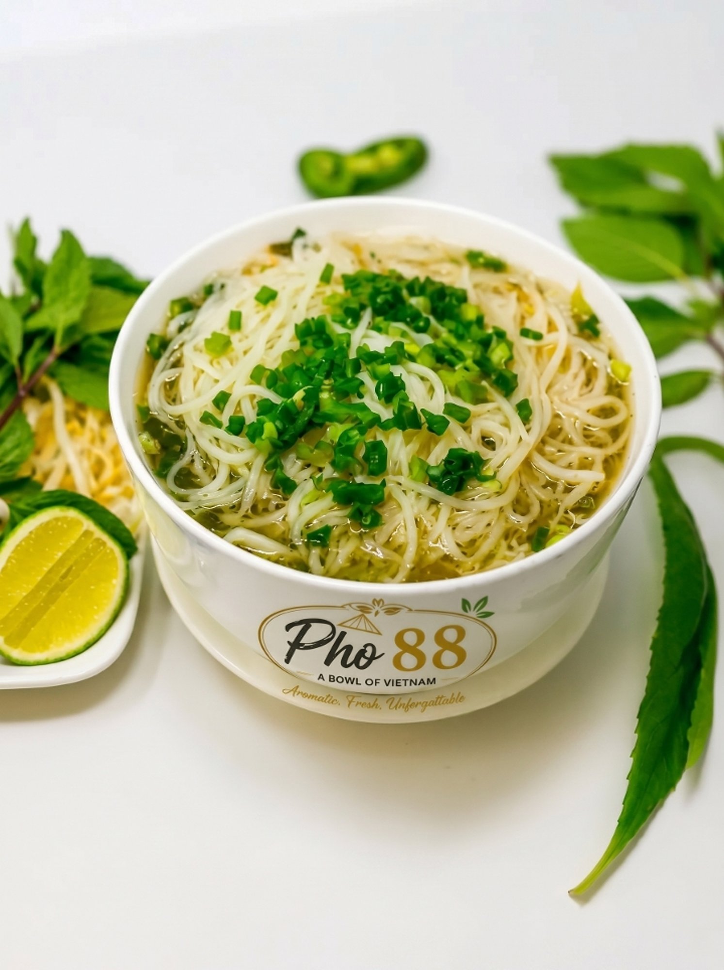 Pho Noodles w/ No Meat - Pho Nuoc Leo Bo