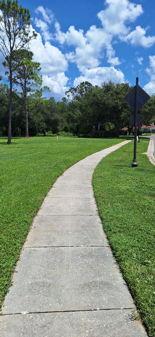 Window Hero Northern Tampa Image