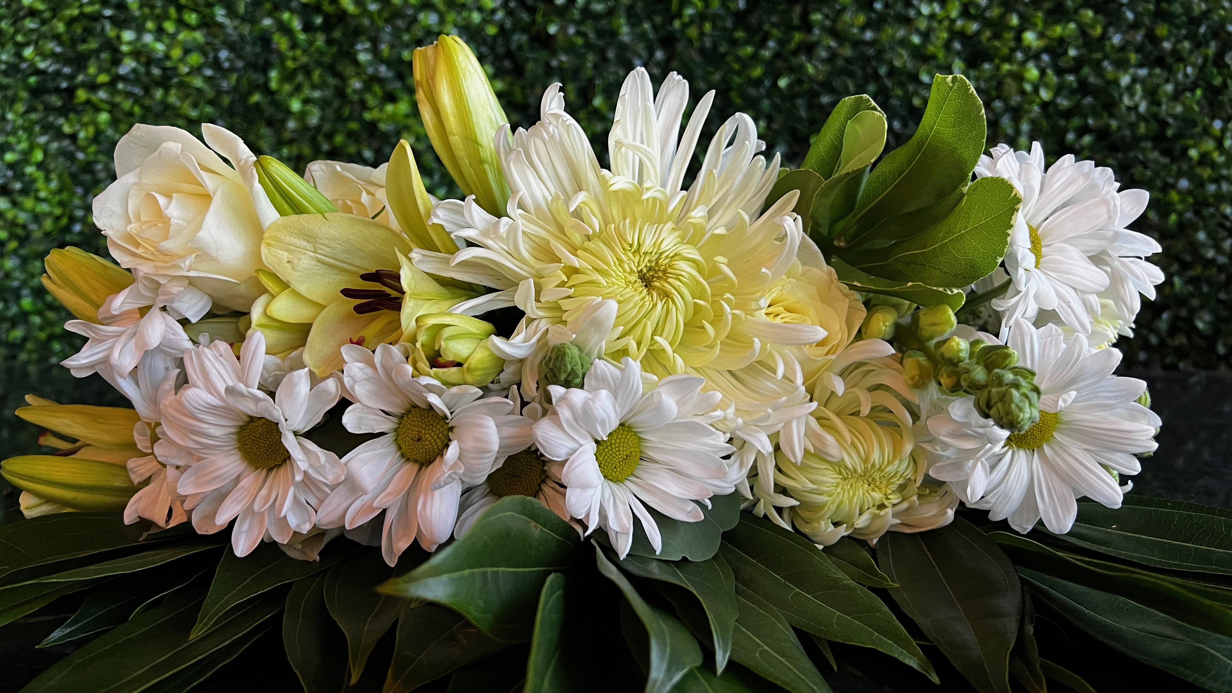 DBG Flowers - Chicago Image