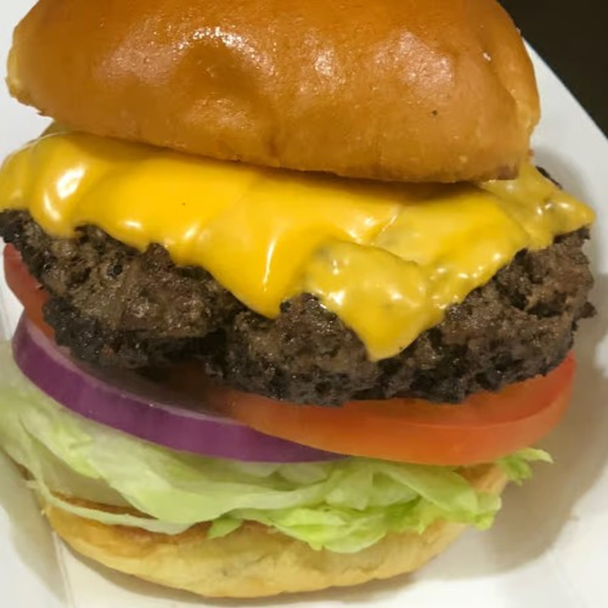 Kids Hamburger