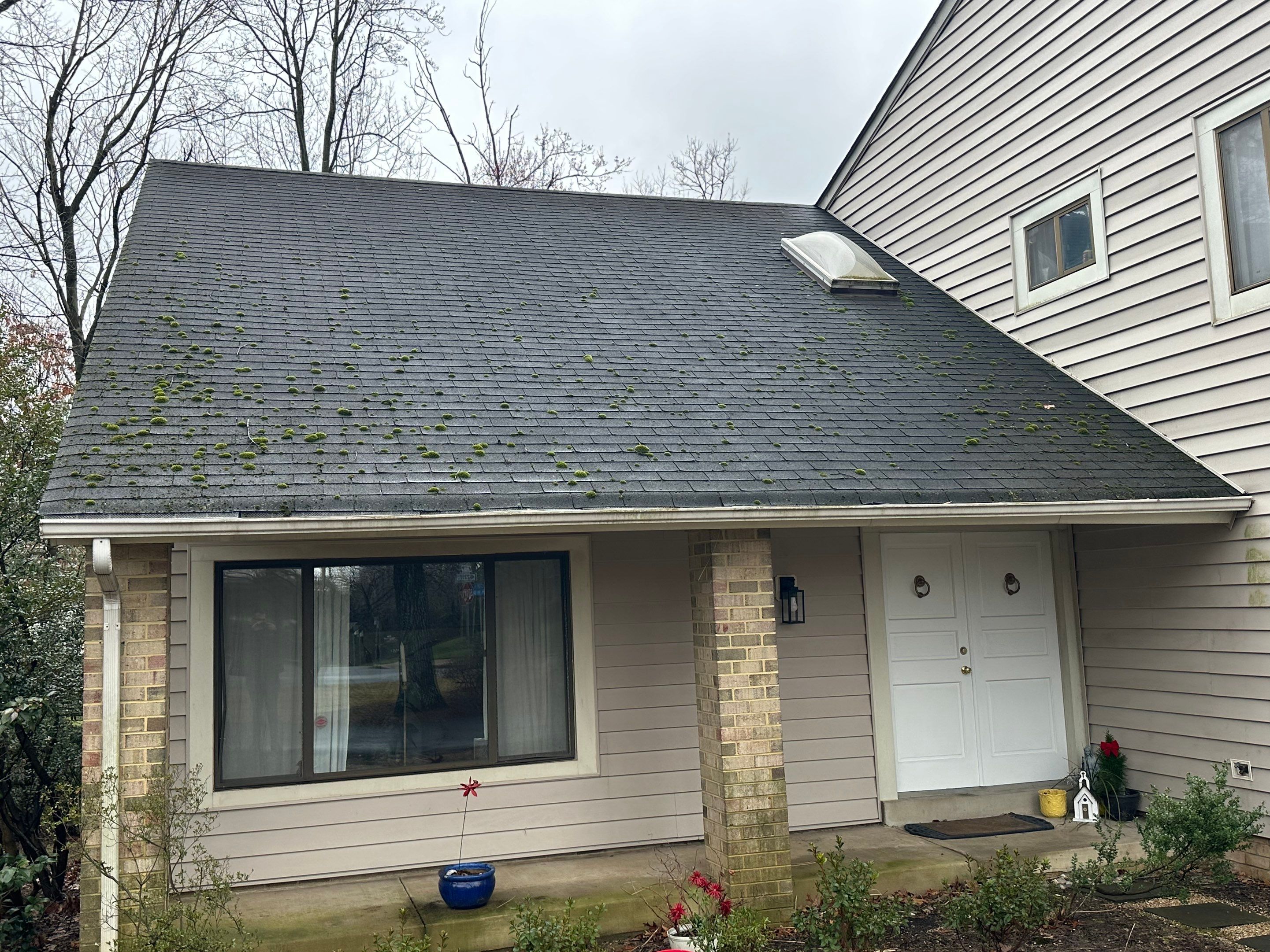 Radiant Home Services Image