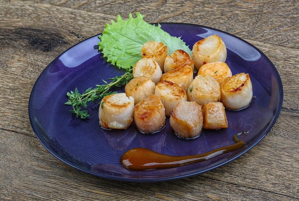 1 Pcs Scallop