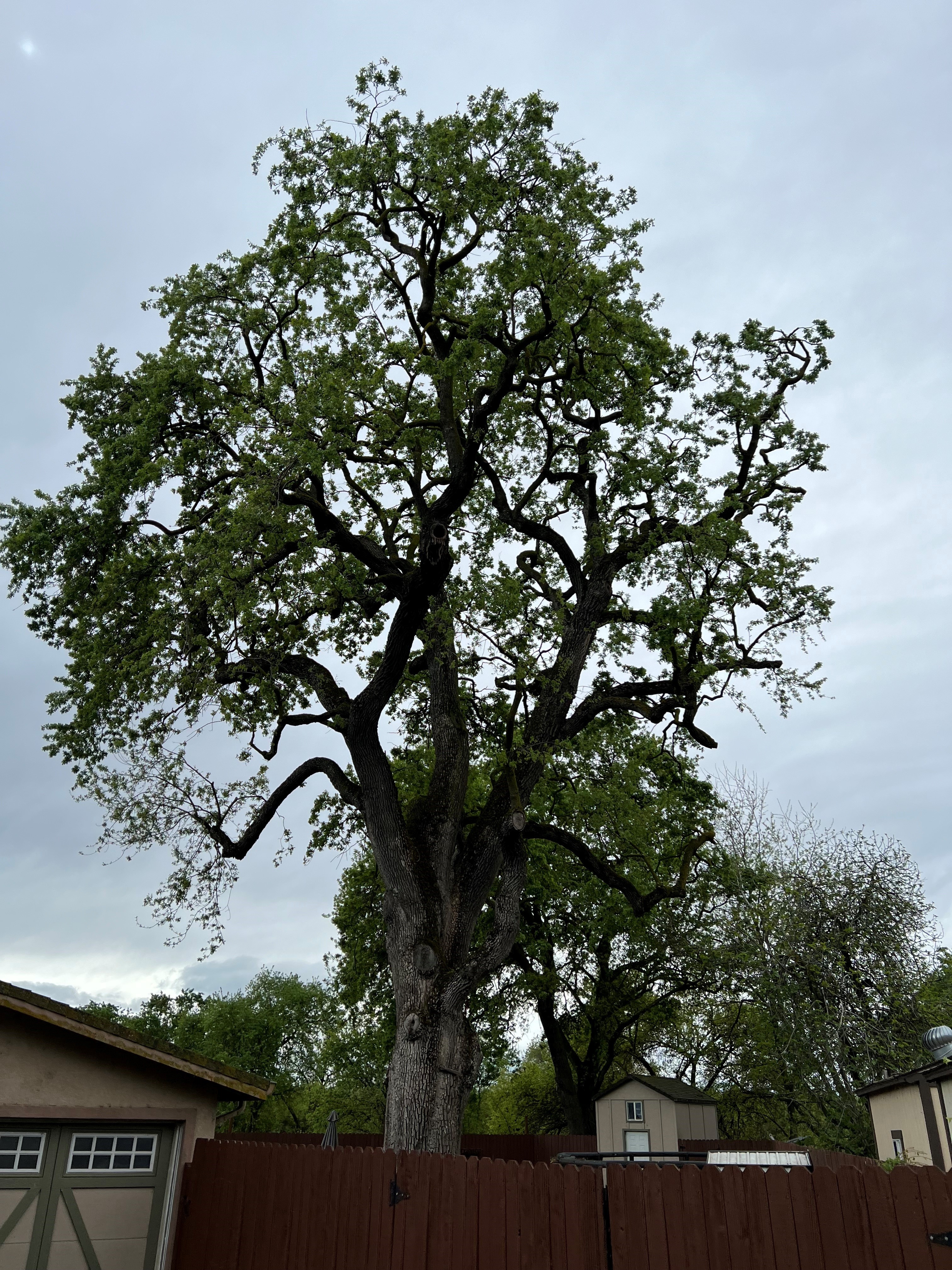 FC Valley Tree Care Inc. Image