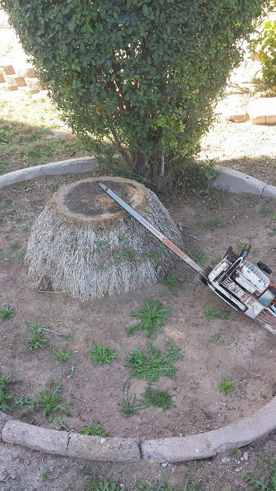 Pendleton Tree Service Yuma, AZ Business Profile