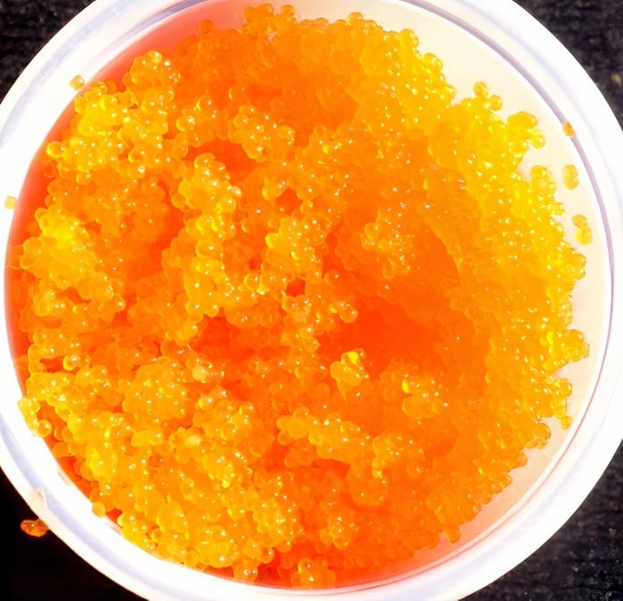 Masago
