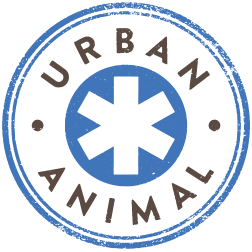 Urban Animal Logo