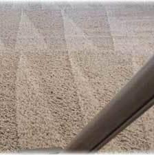 Expert carpet cleaning