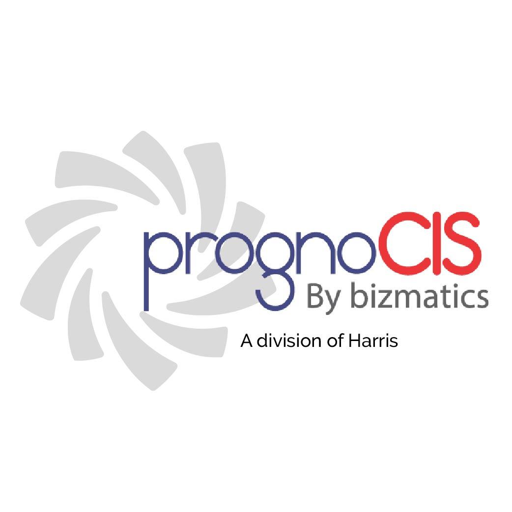 Bizmatics Inc Logo