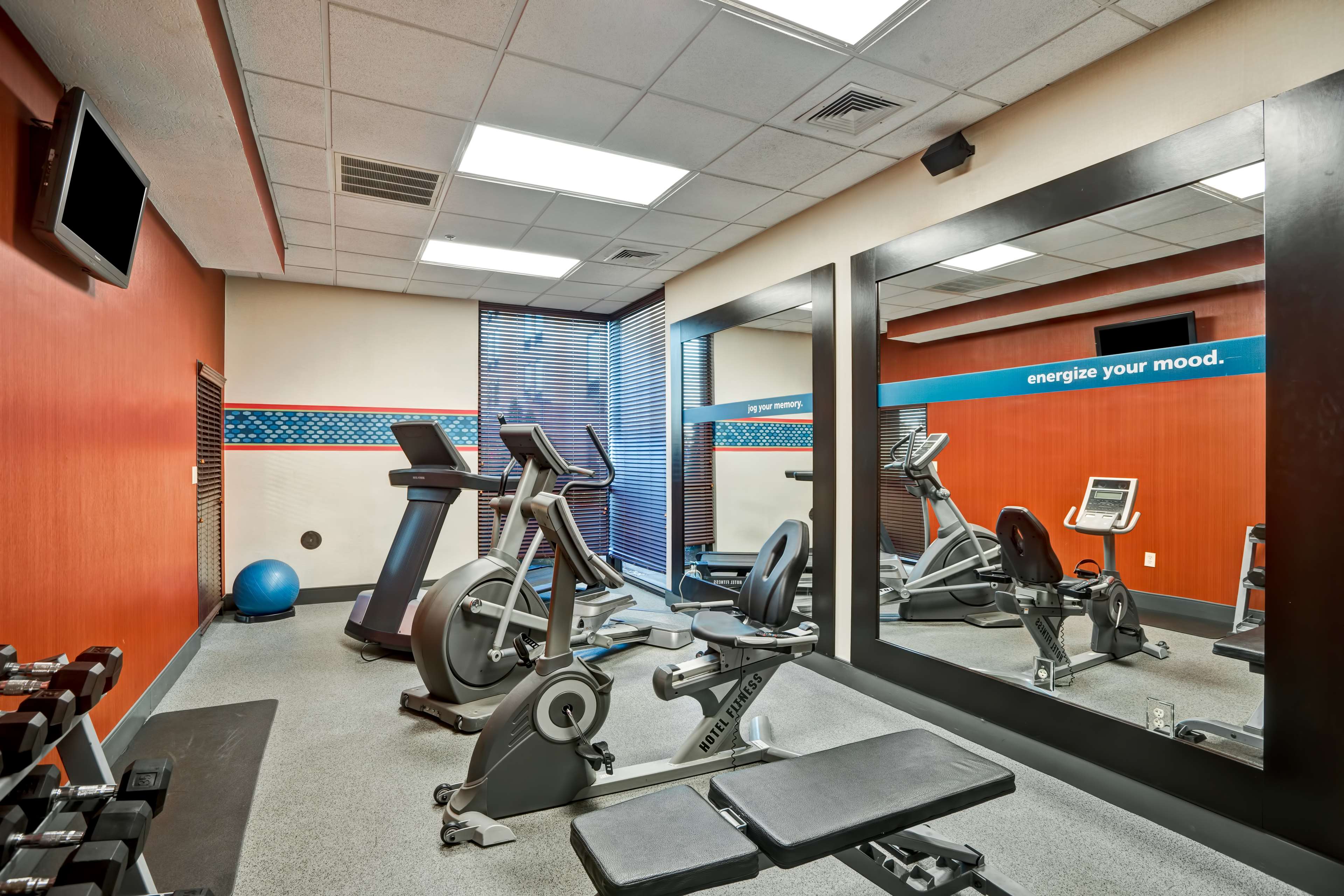 Health club  fitness center  gym