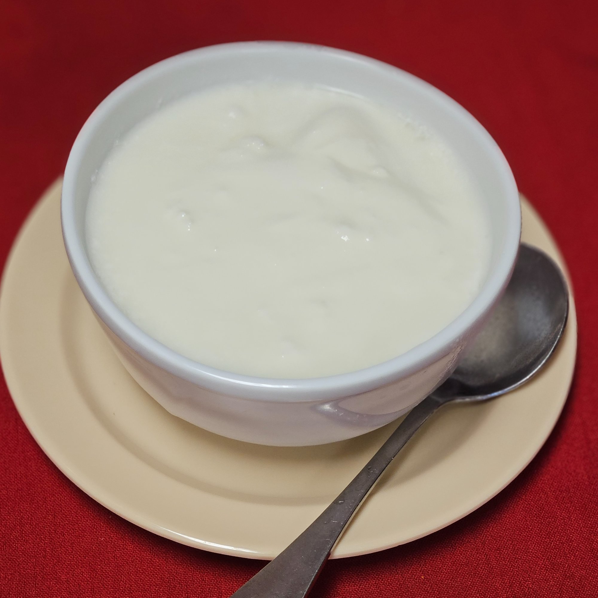 Plain Yogurt