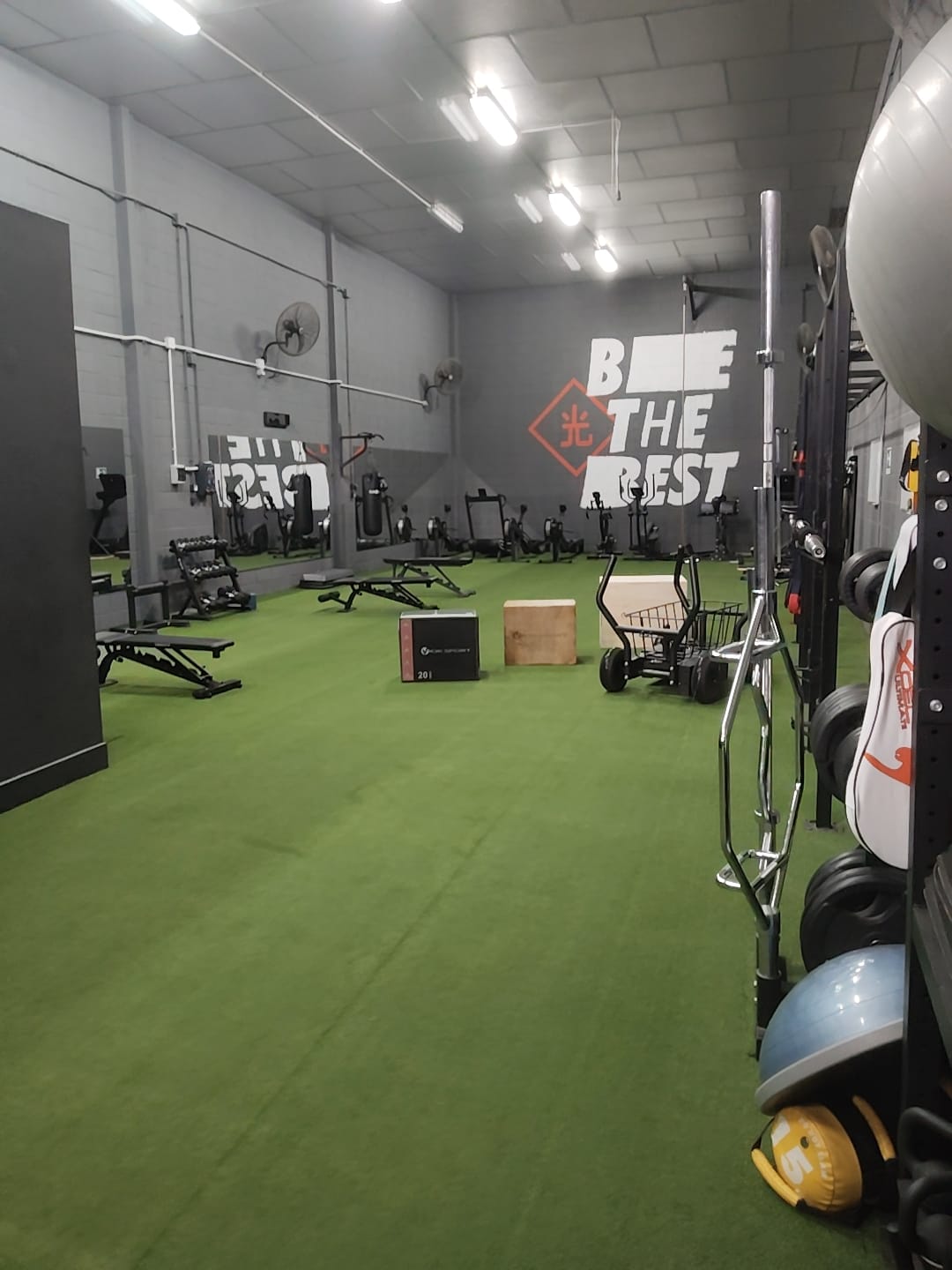 Galería en miniatura