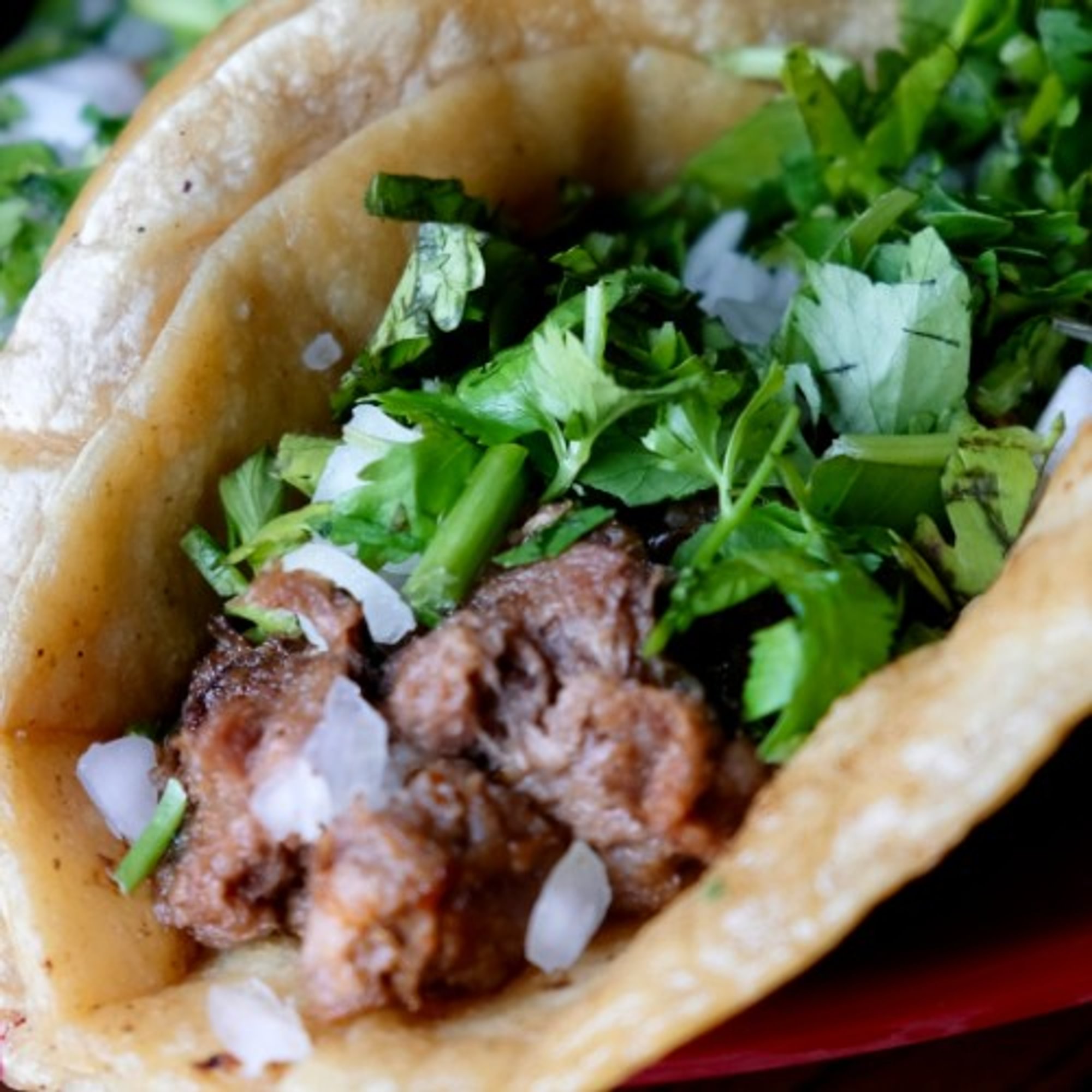 Taco