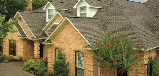 HIVE Roofing & Exteriors Image