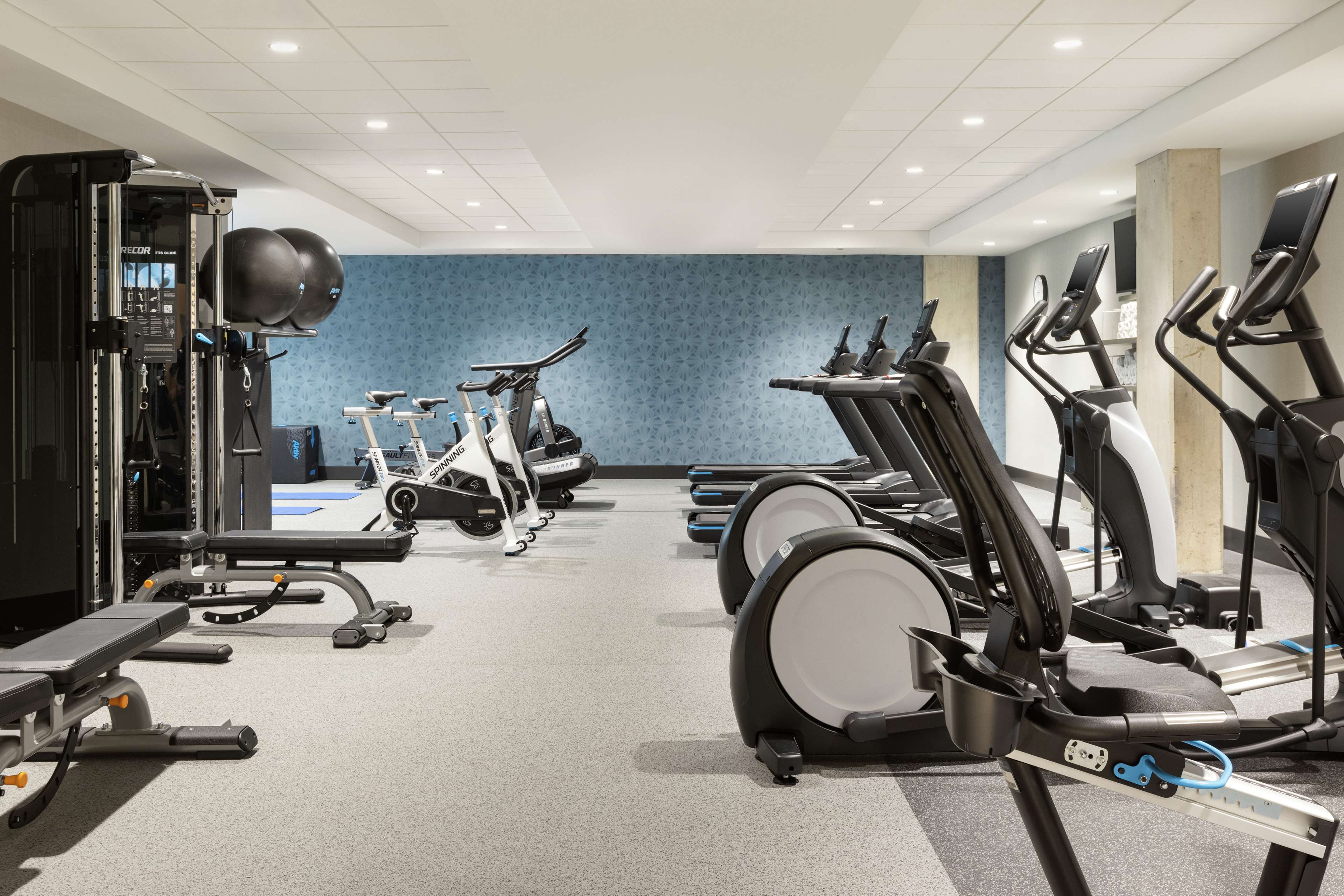 Health club  fitness center  gym