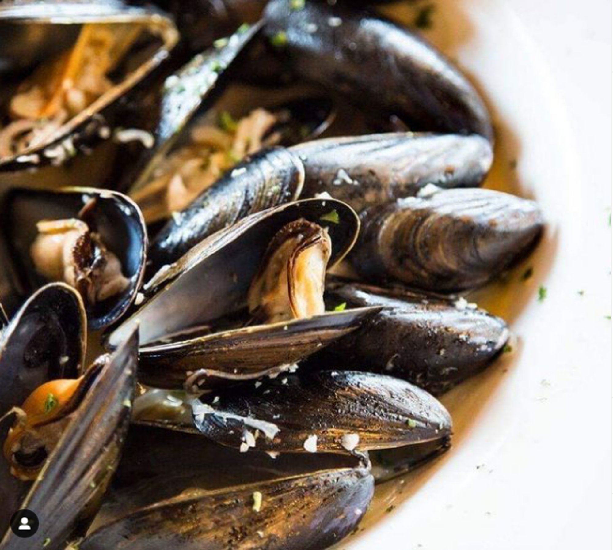 Organic Mussels in Garlic White Sauce