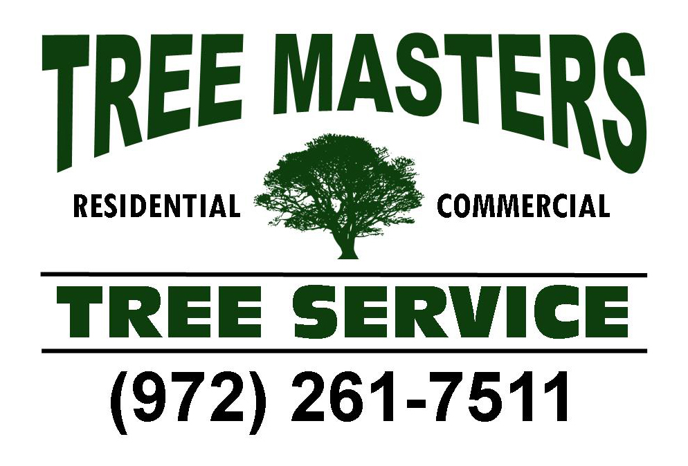 Tree Masters Tree Service Image