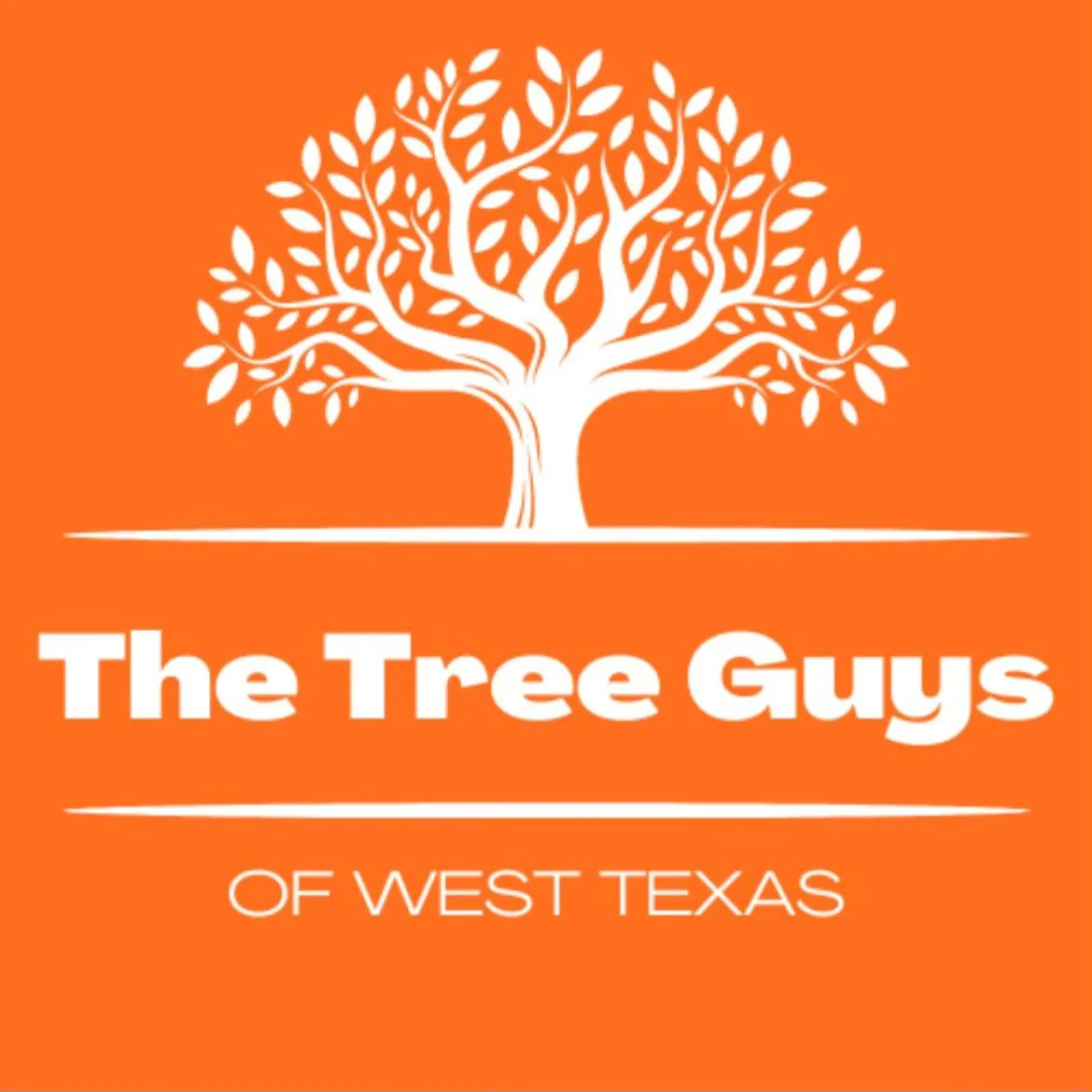 The Tree Guys of WTX