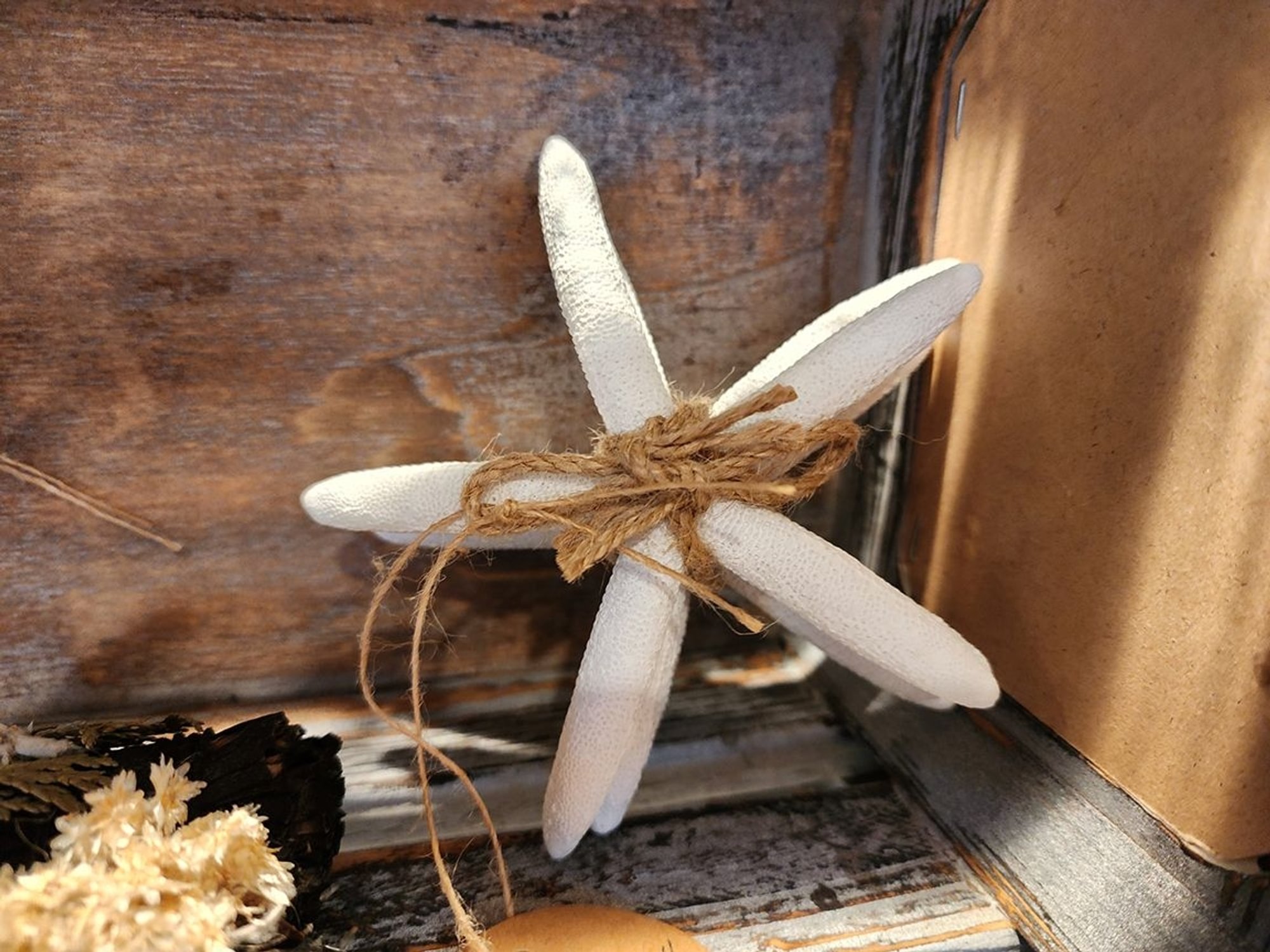 Star Shells - 3 Pack